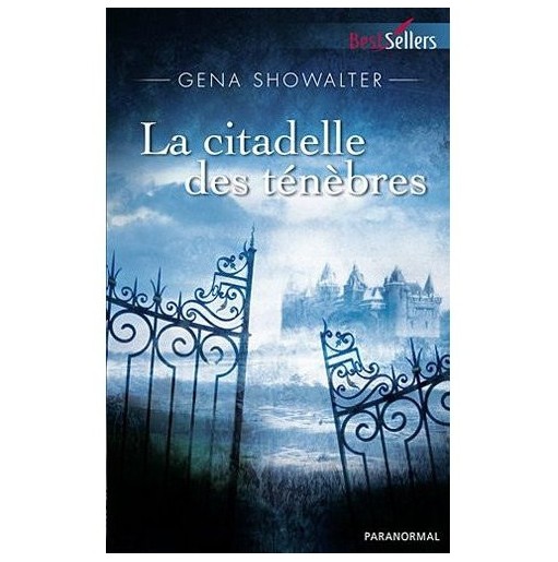 Les seigneurs de l'ombre  1  La citadelle des ténèbres