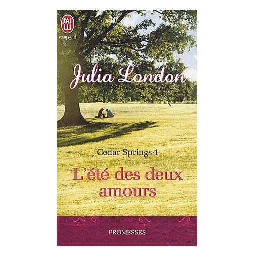 Cedar Springs 1 L'été des deux amours